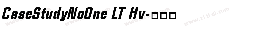 CaseStudyNoOne LT Hv字体转换